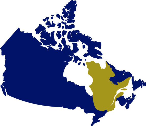 L’entente sur le Transfert canadien en matière de santé – Satisfaisante pour le Québec ?